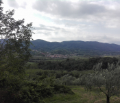 img_20190918_121343