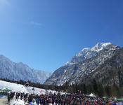 8-planica