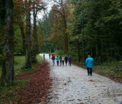 mms_img-1035313995